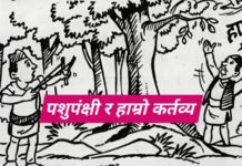 पशुपंक्षी र हाम्रो कर्तव्