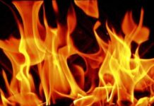 विद्रोह