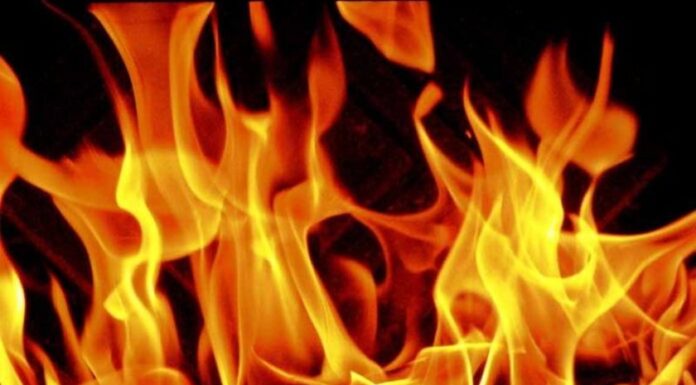 विद्रोह