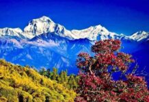 “प्रभात”