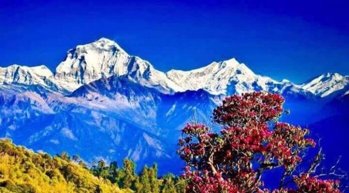 “प्रभात”