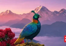 नयाँ वर्ष २०८३