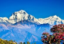 “सौन्दर्य छटा”