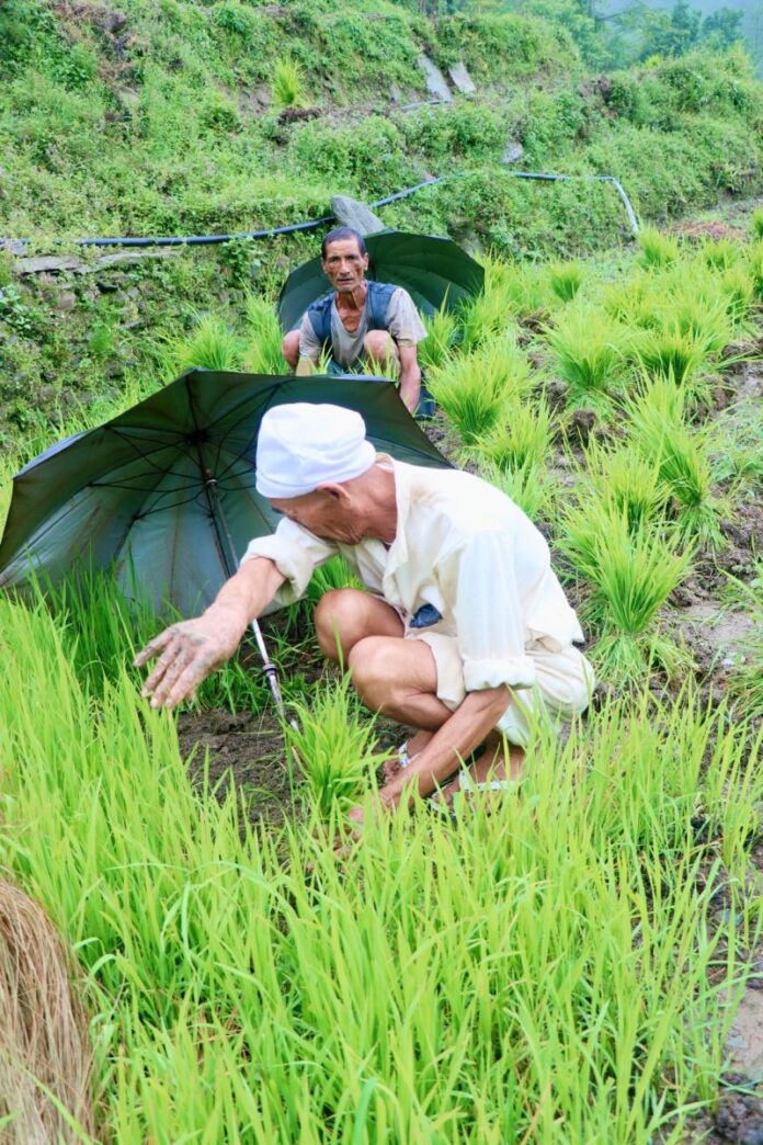 KISAN21