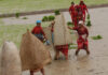 “असार पन्ध्रमा”