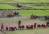 असारको पन्ध्र