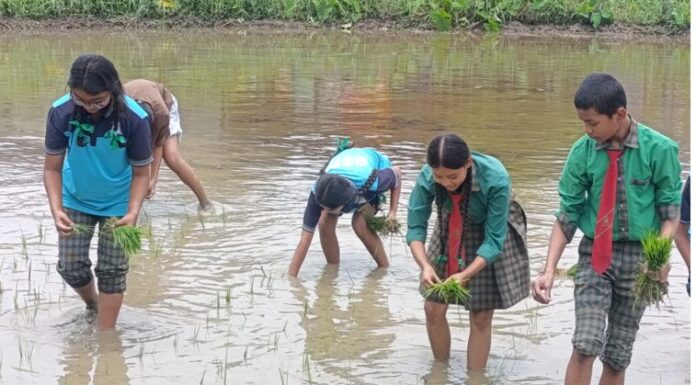 “रोपेर मानु”