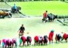 “शक्तिशाली नेपाली”