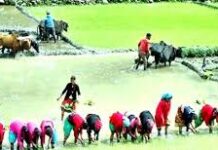 “शक्तिशाली नेपाली”