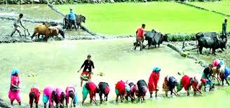 “शक्तिशाली नेपाली”