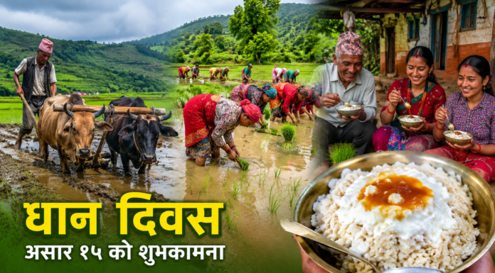 स्वाद