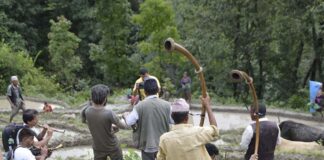 “धान रोपाइँ”