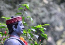 “भानु सवाई”