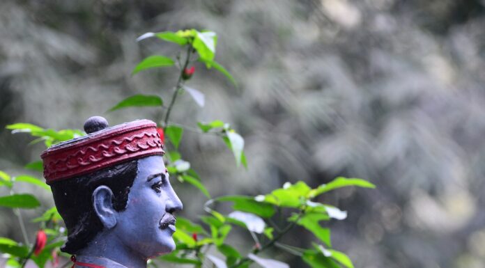 “भानु सवाई”