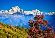 “नेपाल देश”