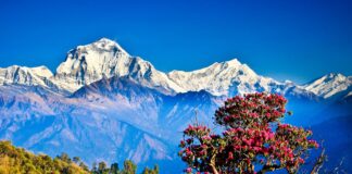 “नेपाल देश”