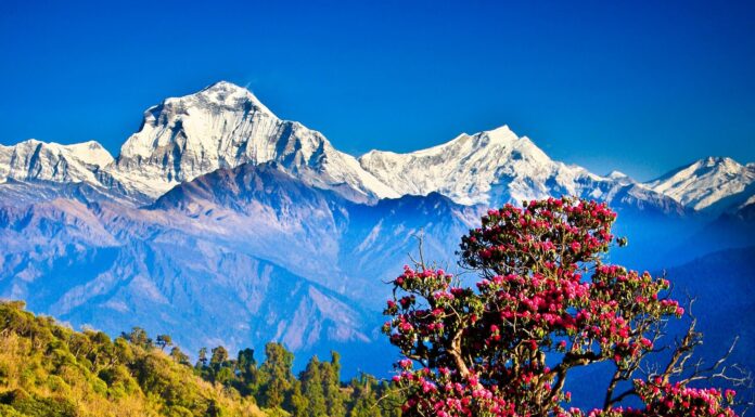 “नेपाल देश”