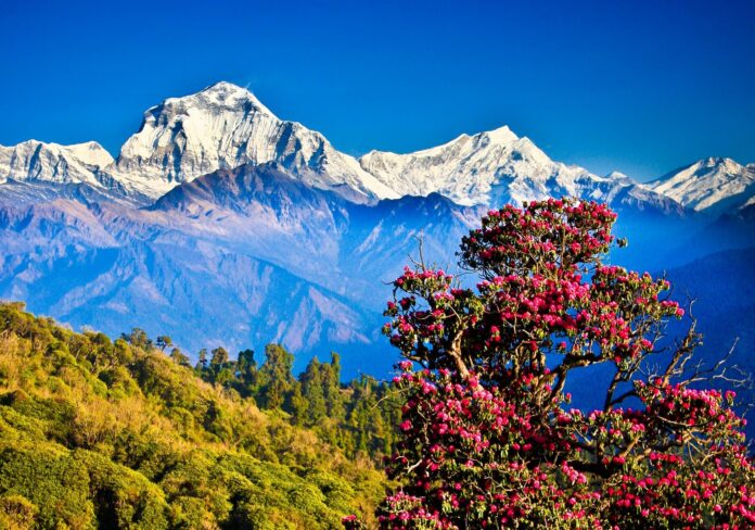 nepal desha