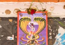 नाग पूजा