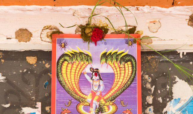 नाग पूजा
